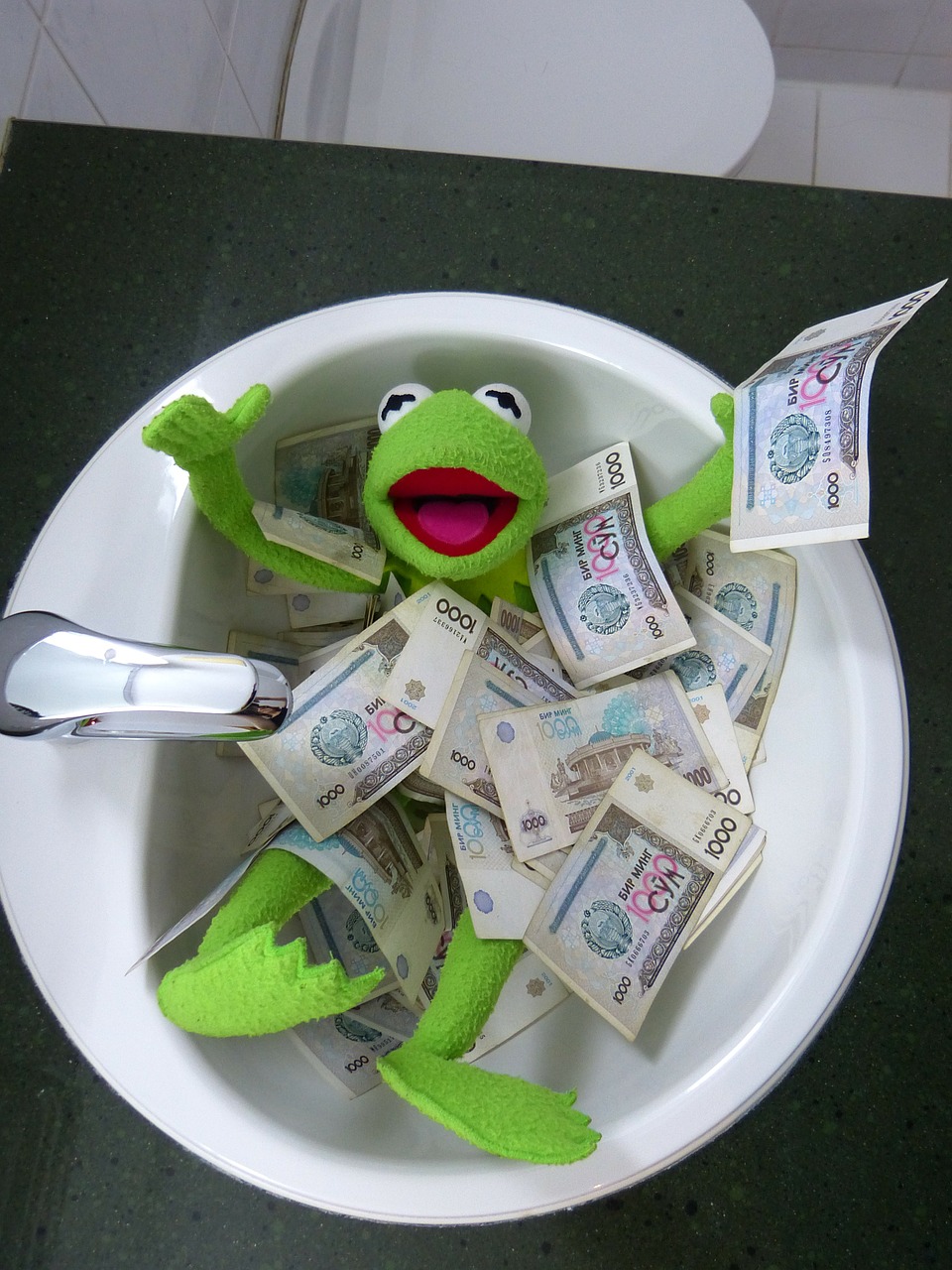 kermit, frog, money, hard goods