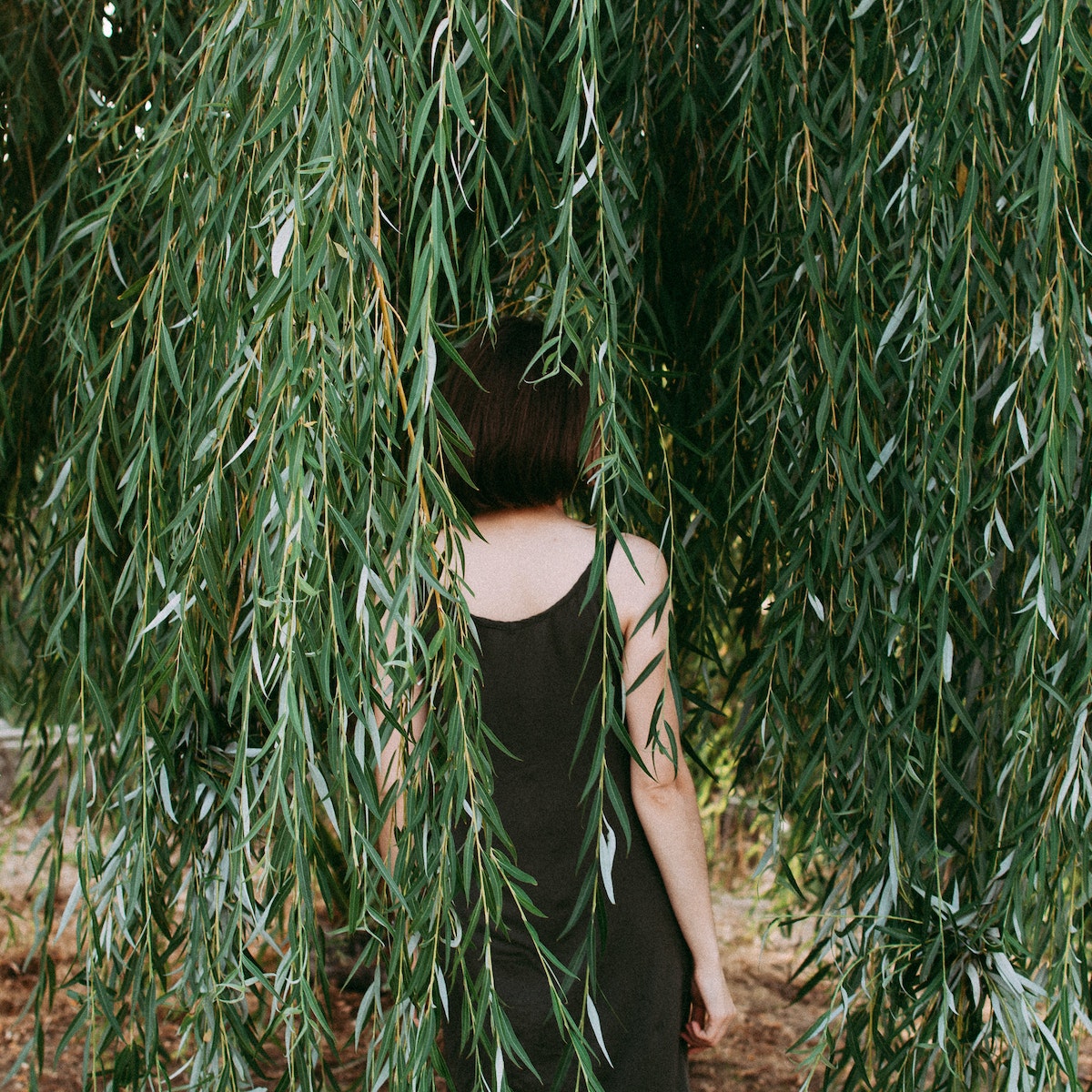 Photo by Svetlana Romashenko: https://www.pexels.com/photo/woman-among-green-willow-leaves-11057172/